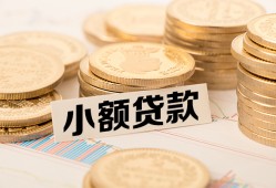 东莞私借哪里有小额贷款-东莞私借身份证贷款平台-东莞私借民间短借