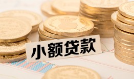 东莞私借哪里有小额贷款-东莞私借身份证贷款平台-东莞私借民间短借